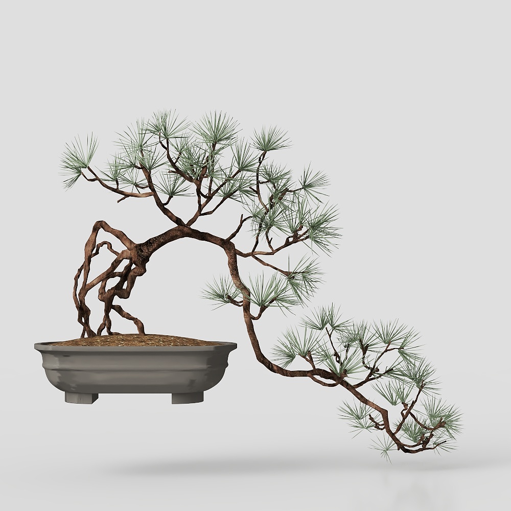 鉢植えの植物 アジアスタイル