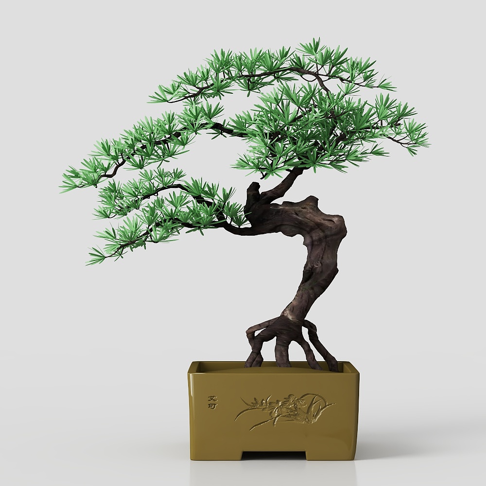 Potted plant Asian Style