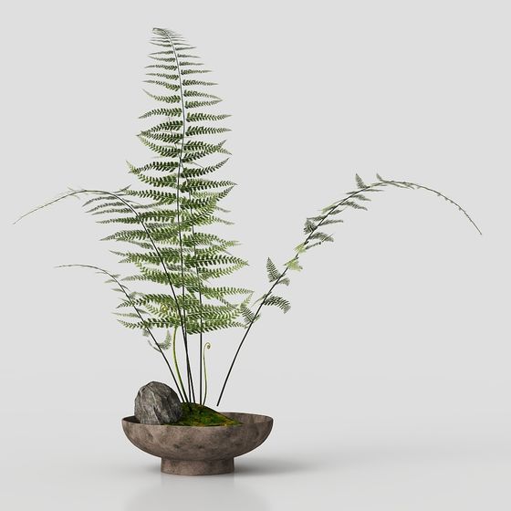 Potted Plant Asian Style 3D Model in Brown