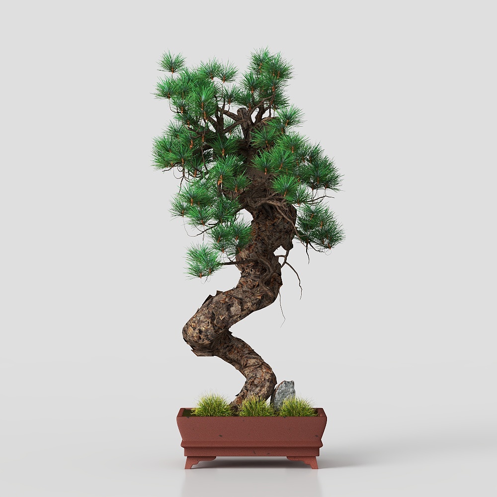 Potted plant Asian Style