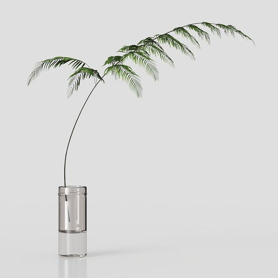 Décoration de plante moderne