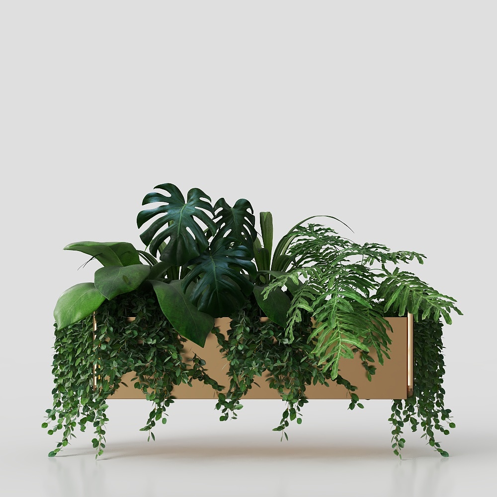 modern potted plants