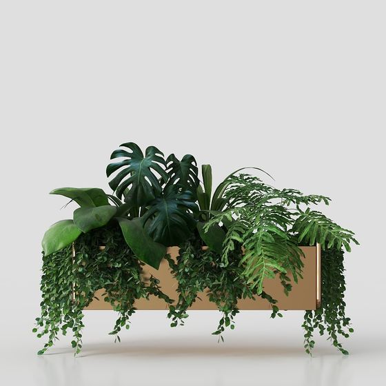 Natural Window 3D model - Low Poly Plant Collection