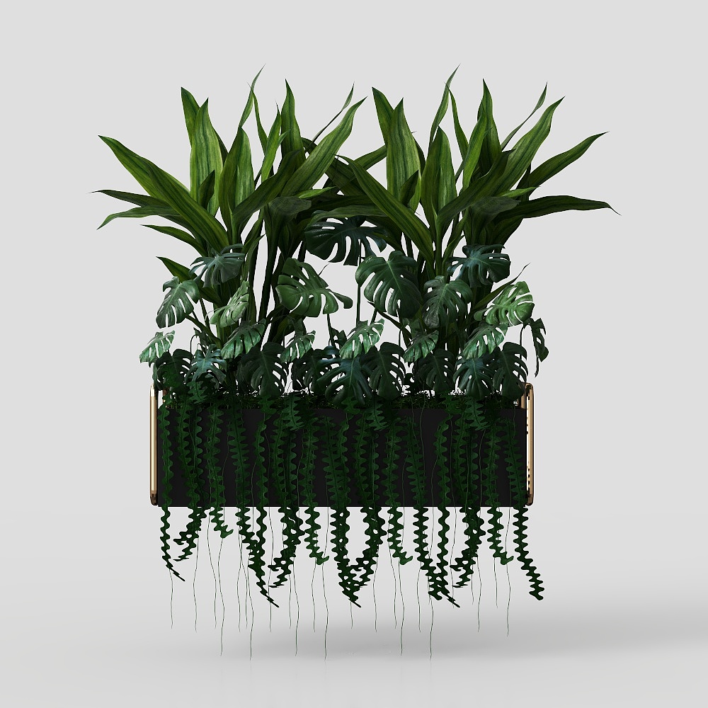 modern potted plants