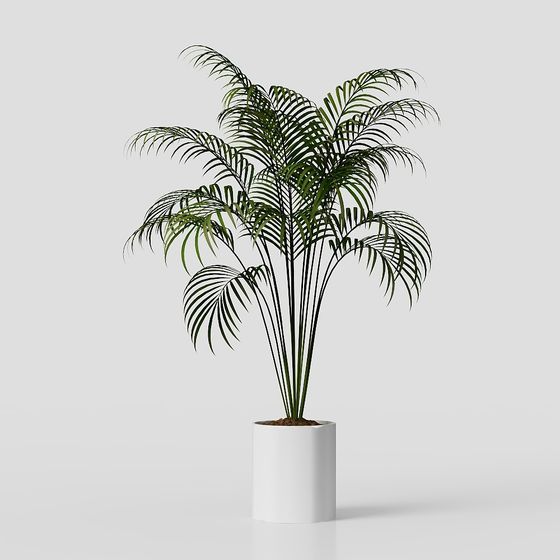 Lifelike Palm Tree 3D Model for Tropical Themes