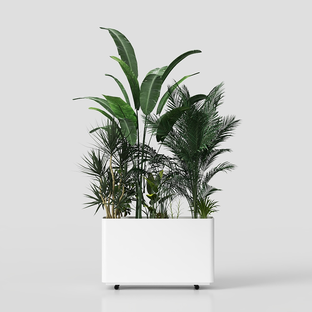 potted plant