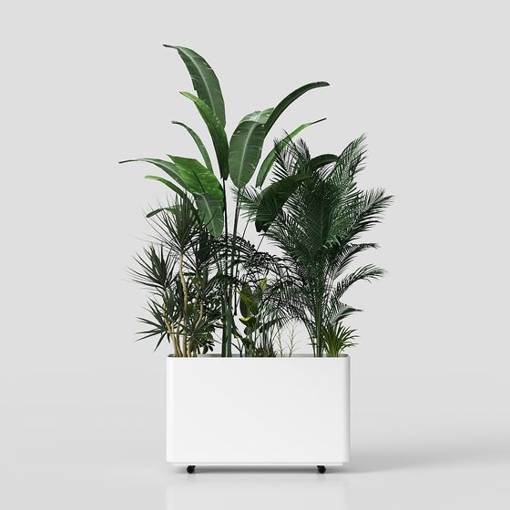 Tropical Plant 3D Model with Low Poly Design