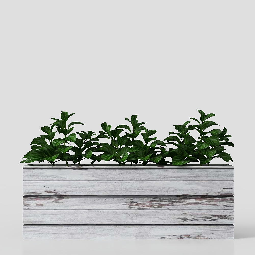 plantes en pot modernes