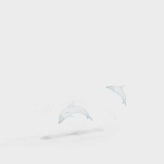 Jumping Dolphin 3D model