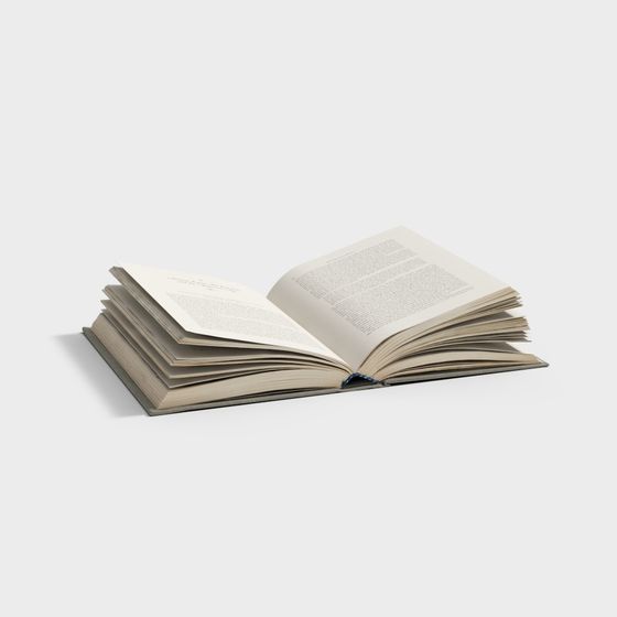 Wisdom Pages 3D Model