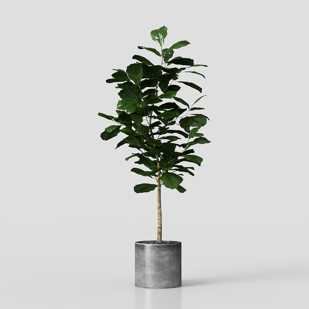 Цинь Ей Жун