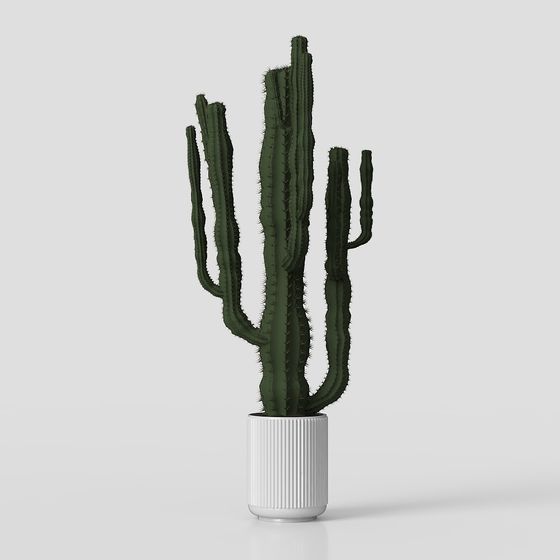 Vibrant Cactus 3D Model for Creative Projects