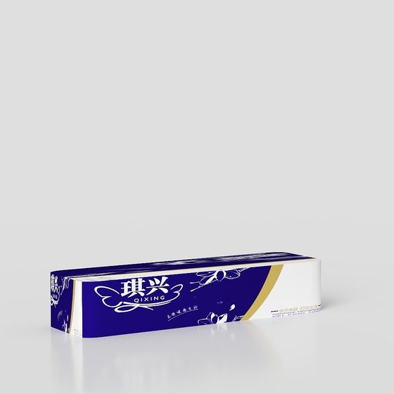 Qixing Packaging 3D model